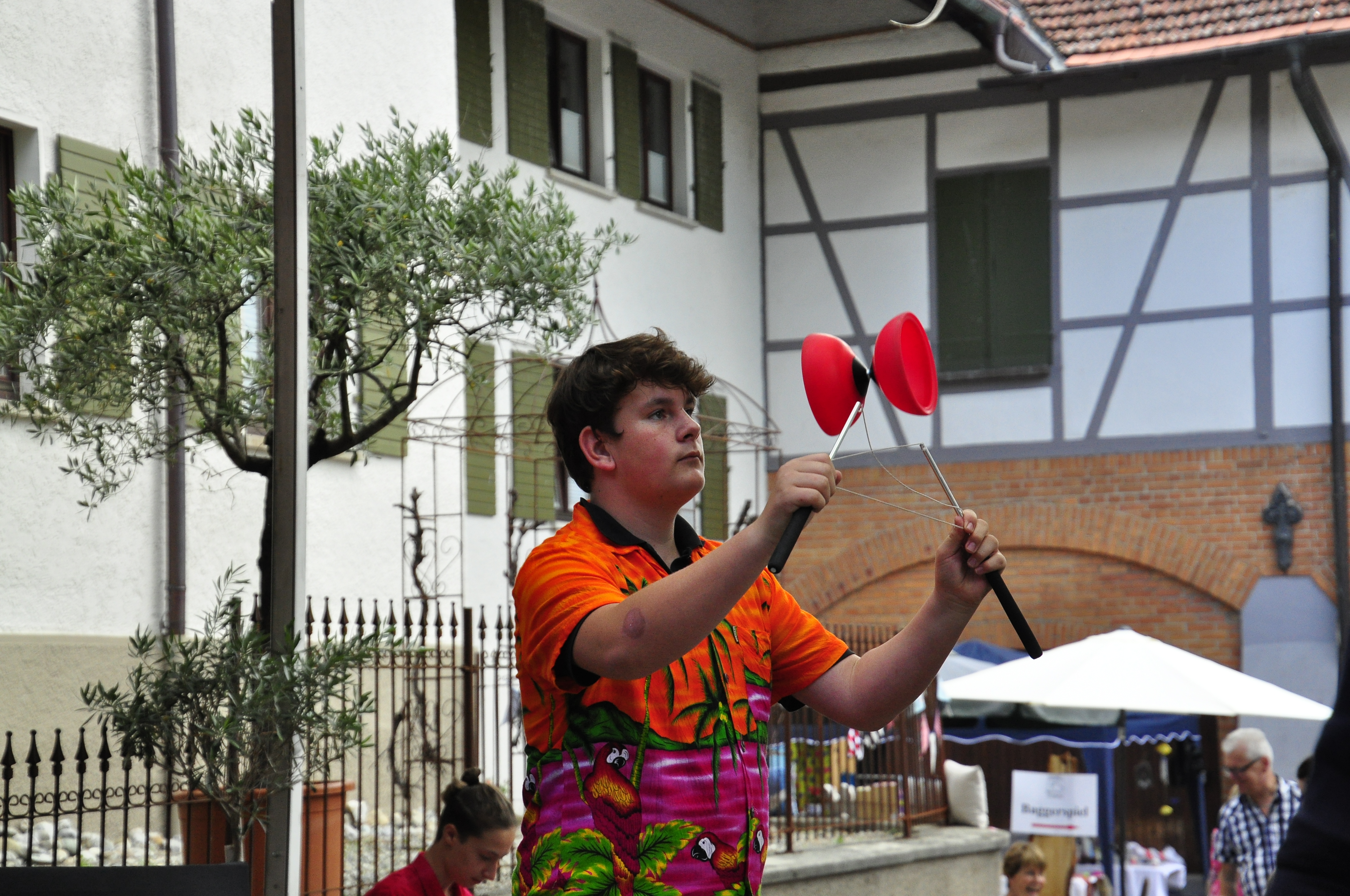 Gartentrödelei Liebenau